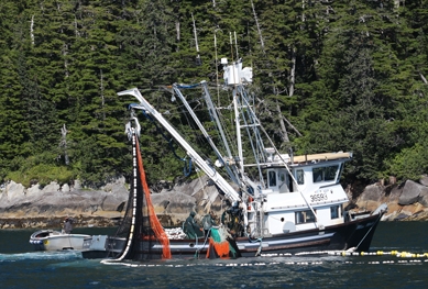 Loi sur les pêches : retour de protections éliminées en 2012