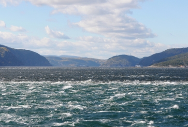Agrandissement du parc marin du Saguenay—Saint-Laurent